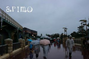 Tdl 雨の日ディズニー ずぶ濡れスプラッシュ マウンテン 東京ディズニーリゾートの過ごし方